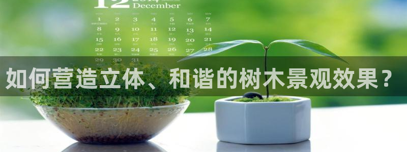 新宝gg创造奇迹登陆