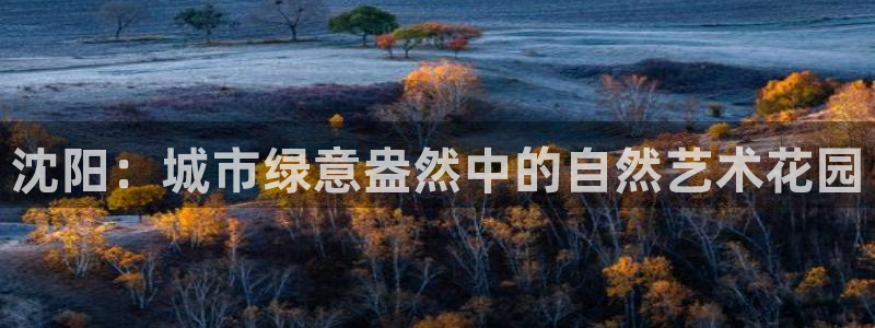 新宝gg找回账号