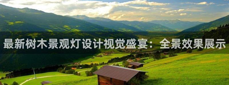 新宝gg 彩票：最新树木景观灯设计视觉盛宴：全景效果展示