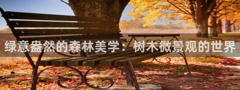 新宝gg 登录：绿意盎然的森林美学：树木微景观的世界