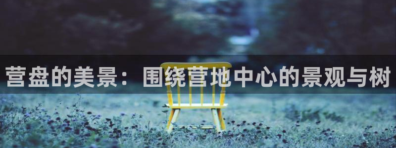 新宝gg平台连接