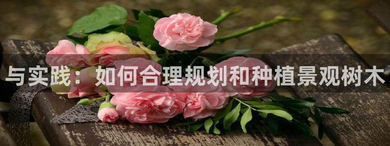 新宝gg创造奇迹平台：与实践：如何合理规划和种植景观树木
