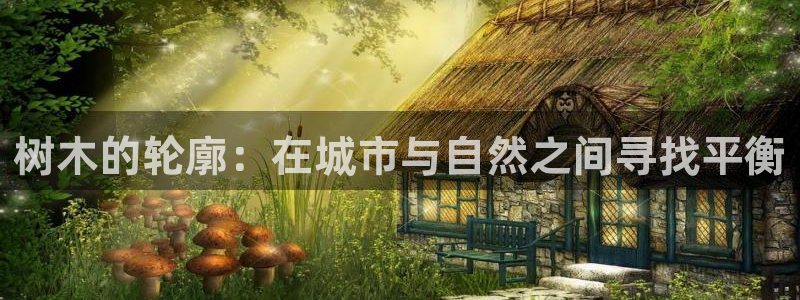 新宝gg龙腾
