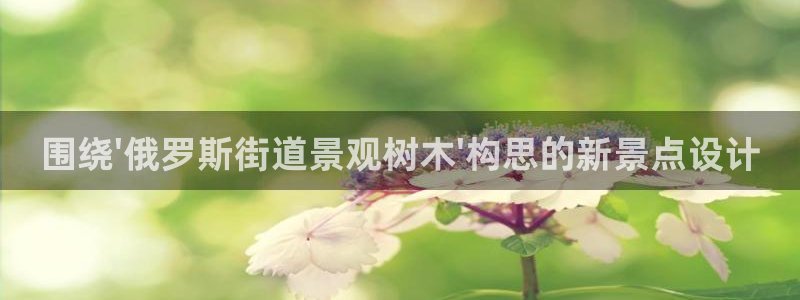 新宝gg吧