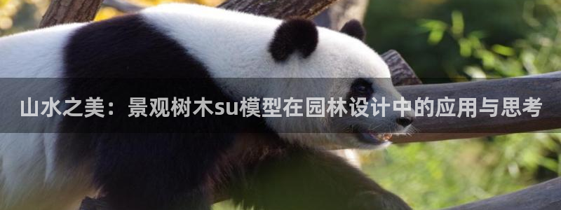 娱乐世界新宝gg