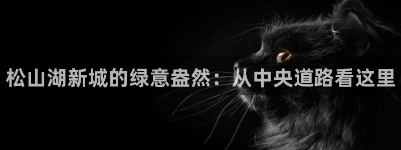 新宝gg 主管