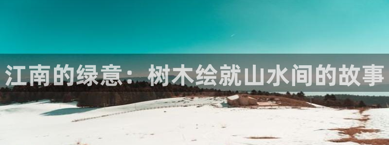 新宝gg挂机app
