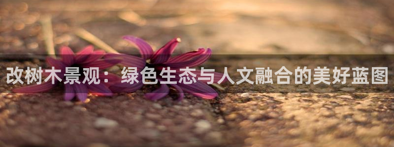 新宝gg提点
