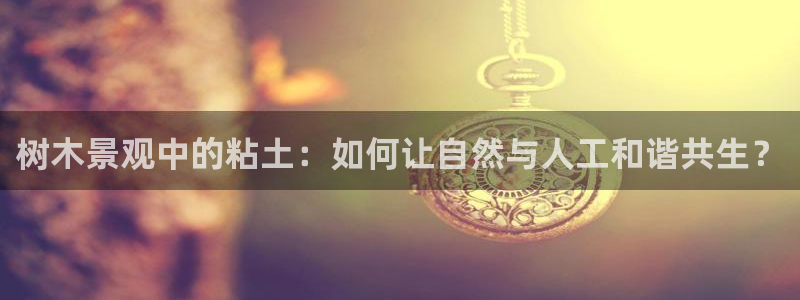 新宝gg登