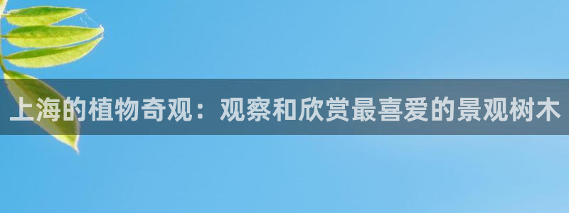 新宝gg平台首页：上海的植物奇观：观察和欣赏最喜爱的景观树木