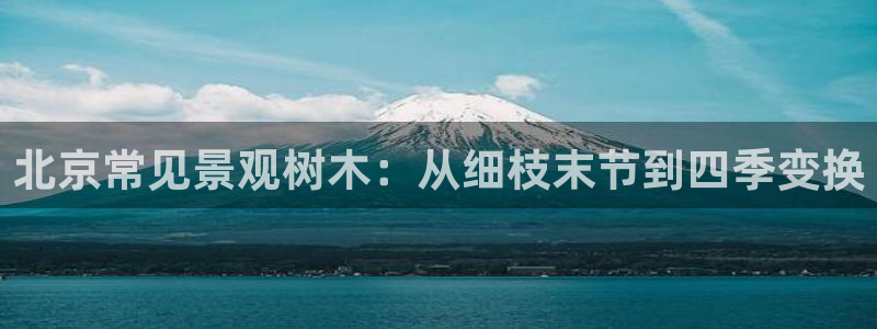 新宝gg注册jhjinde：北京常见景观树木：从细枝末节到四季变换