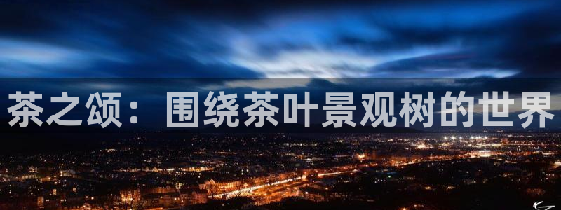新宝gg平台开户