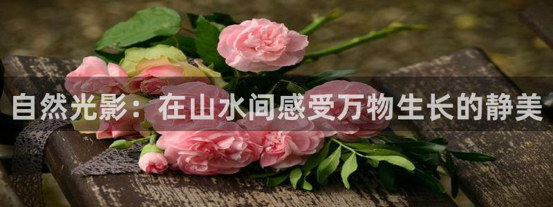 新宝gg   创造