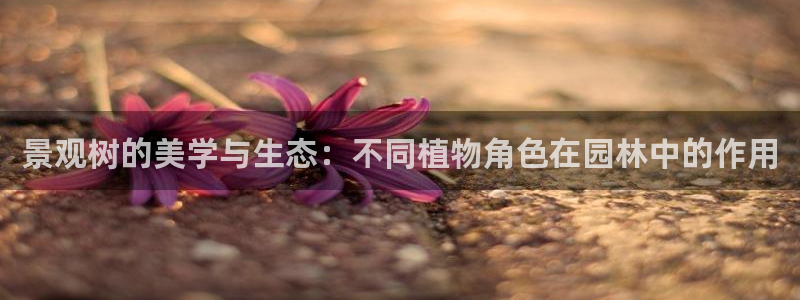 新宝gg论坛
