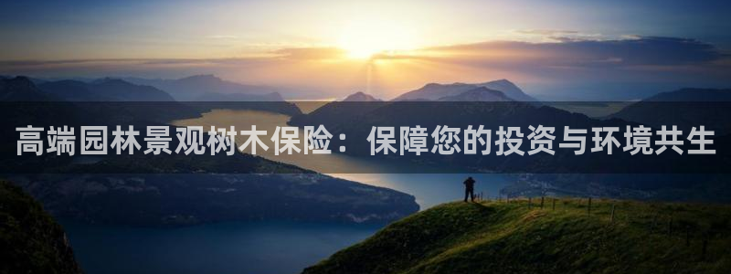 新宝哥gg