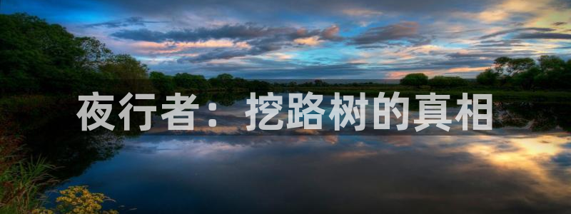 认准新宝gg