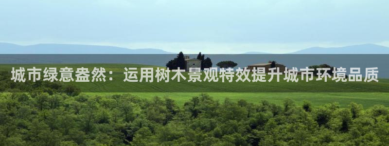 新宝gg--创
