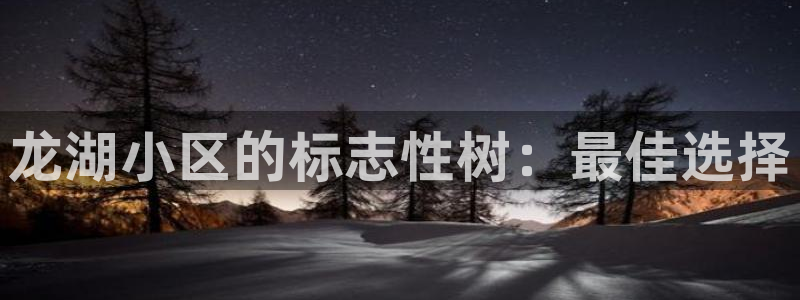 新宝gg分红：龙湖小区的标志性树：最佳选择