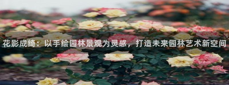 新宝gg 首页