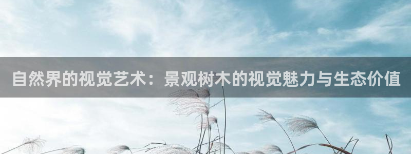 新宝gg网站