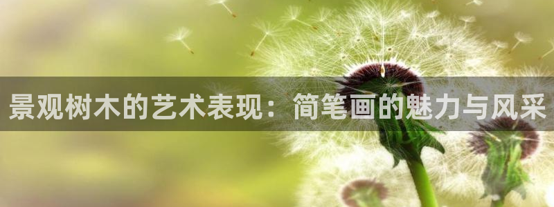 新宝gg下载