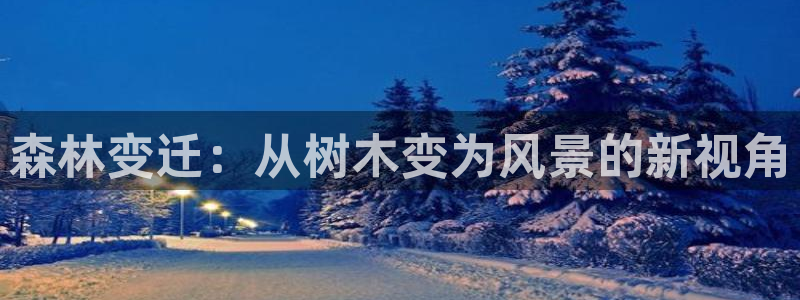 新宝3和新宝gg：森林变迁：从树木变为风景的新视角