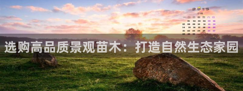 新宝gg主管：选购高品质景观苗木：打造自然生态家园