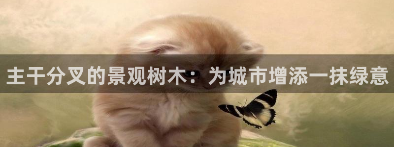 新宝时gg