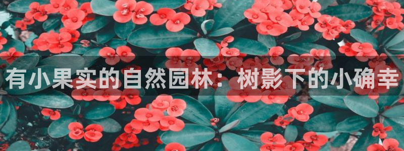 新宝gg建立团队