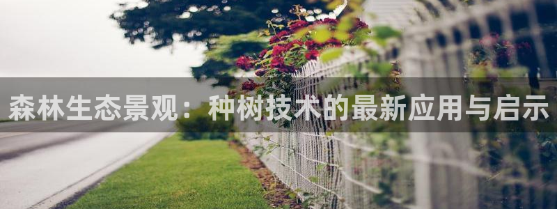 vip新宝gg：森林生态景观：种树技术的最新应用与启示