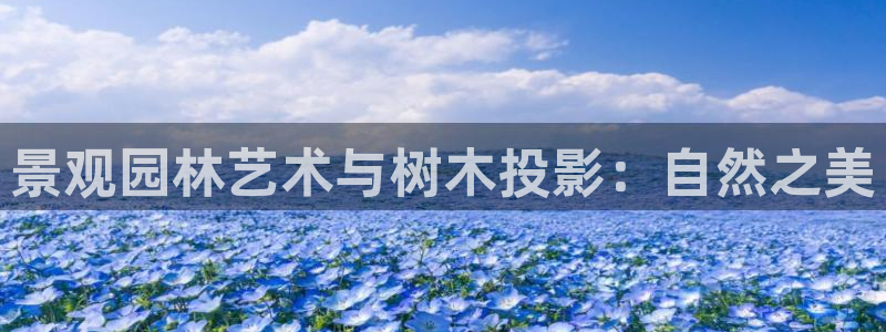 新宝gg技术