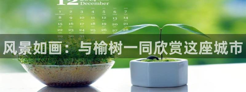 新宝gg辅助