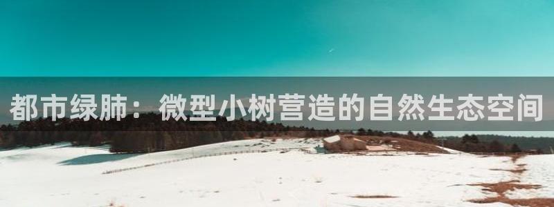 新浪新闻新宝gg