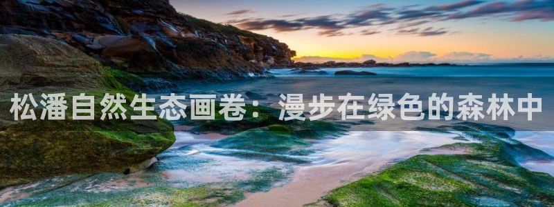 新宝gg用哪个浏览器